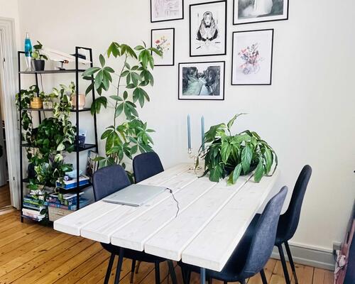 2 værelses lejlighed i Aalborg