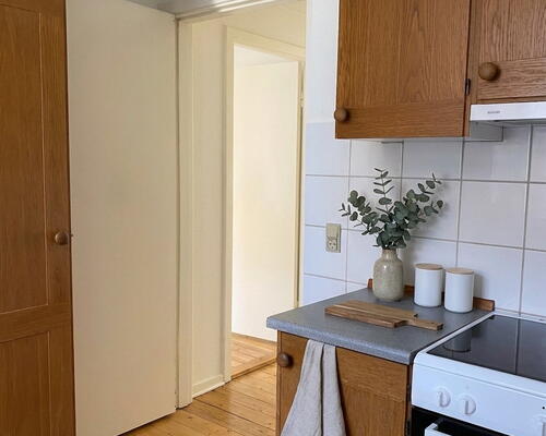 Lys og velindrettet lejlighed med bynær placering