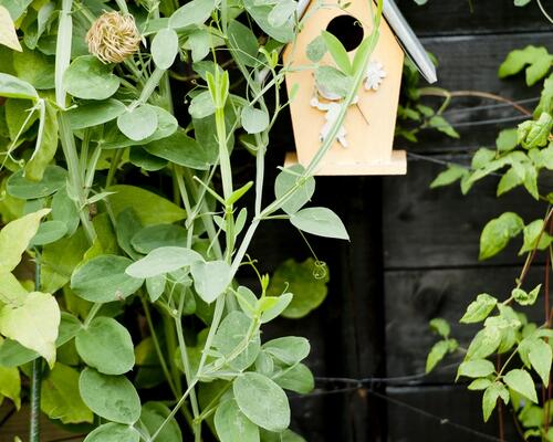 4 værelses hus i Aalborg SØ