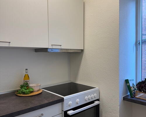 Hyggelig lejlighed med bynær placering