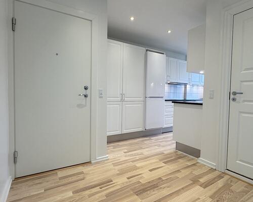 Charmerende nyrenoveret lejlighed i Charlottenlund (Expats)