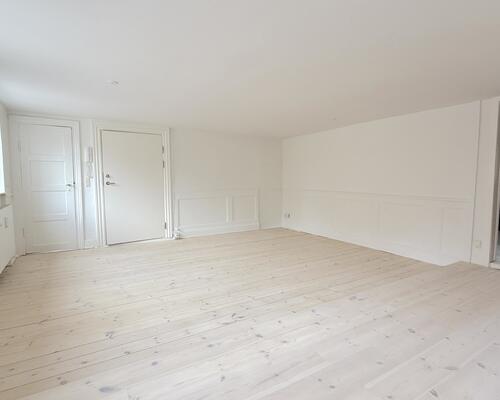 Hyggelig lejlighed i hjertet af København