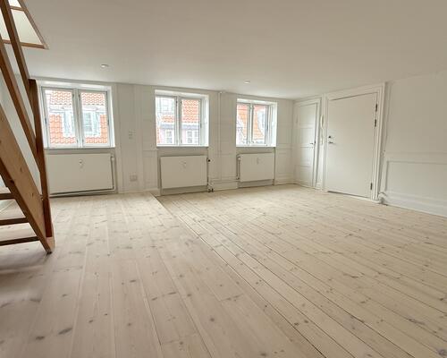 Hyggelig lejlighed i hjertet af København