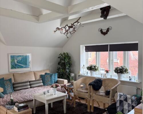 2 værelses lejlighed i Aarup