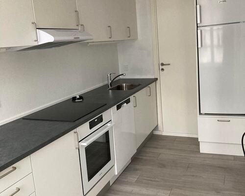 Skøn 1 værelses lejlighed med nyt køkken
