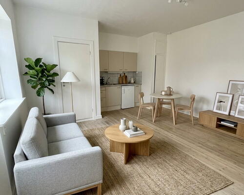 Lys 1-værelses med altan og parkering – oplagt til studerende og pendlere