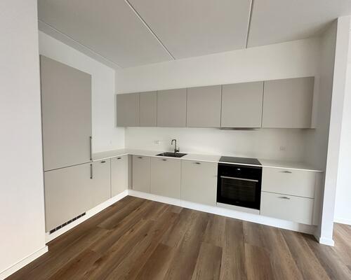 Moderne 3-værelses lejlighed med altan og udsigt