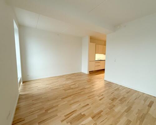 2-værelses lejlighed med egen altan og central beliggenhed