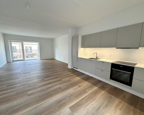 Moderne lejlighed med stor altan og tagterrasse i Nørresundby