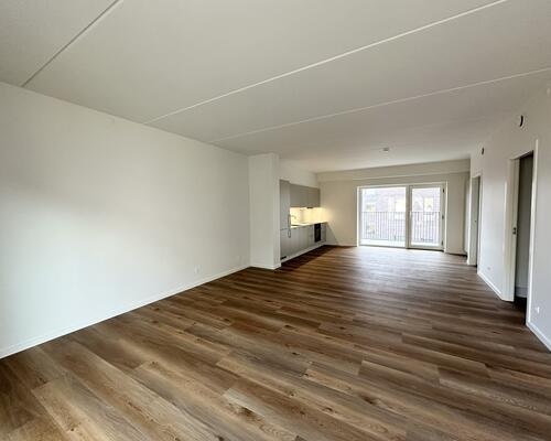 Rummelig lejlighed med altan i naturskønne Nørresundby