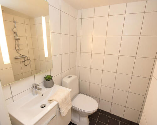 Nyrenoveret lejlighed ideel til deling i Aalborg