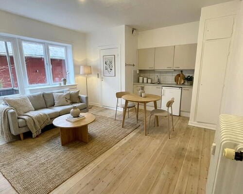 Lys 1-værelses med altan og parkering – oplagt til studerende og pendlere