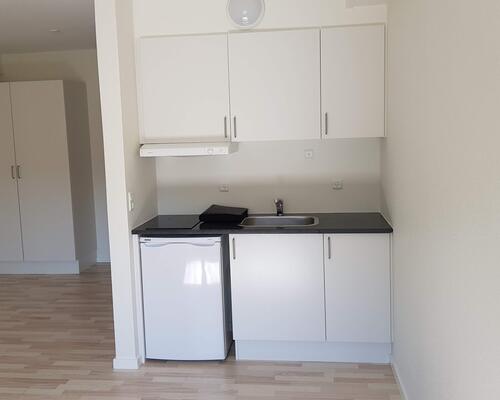 2 værelses lejlighed i Viborg