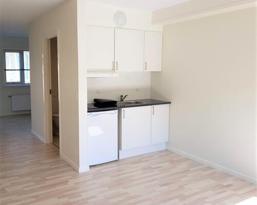 2 værelses lejlighed i Viborg