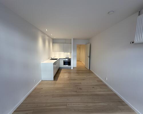 1 værelses lejlighed i Silkeborg