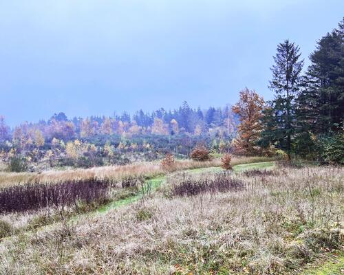 Lys og moderne 1. sals lejlighed med alt i hårde hvidevarer