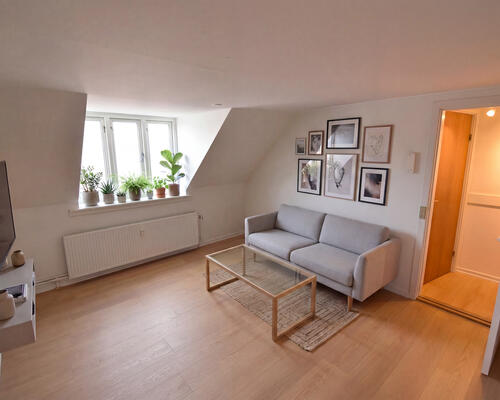 Nyrenoveret lejlighed ideel til deling i Aalborg