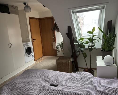 Fed 3. værelses på charmerende Langelinie