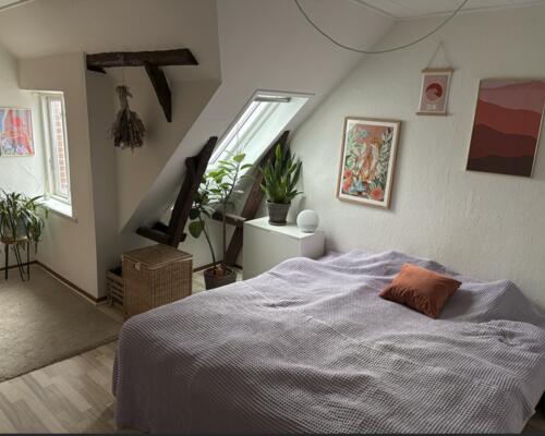 Fed 3. værelses på charmerende Langelinie