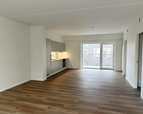 Moderne lejlighed med stor altan og tagterrasse i Nørresundby