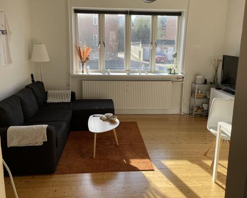 3-værelses lejlighed tæt på Østre Anlæg