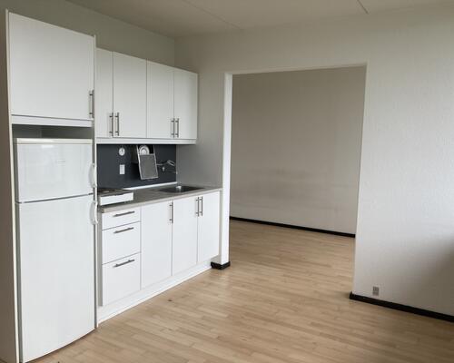 Fin tidsbegrænset 1. værelses lejlighed