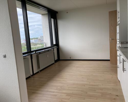 Fin tidsbegrænset 1. værelses lejlighed