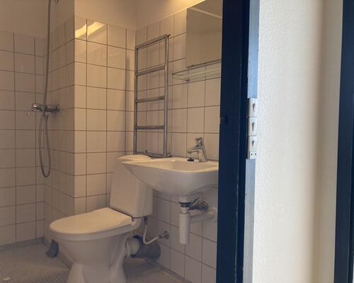 Fin tidsbegrænset 1. værelses lejlighed