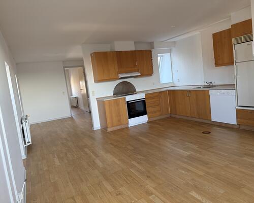 Tæt på Centrum, delevenlig, husdyr tilladt.