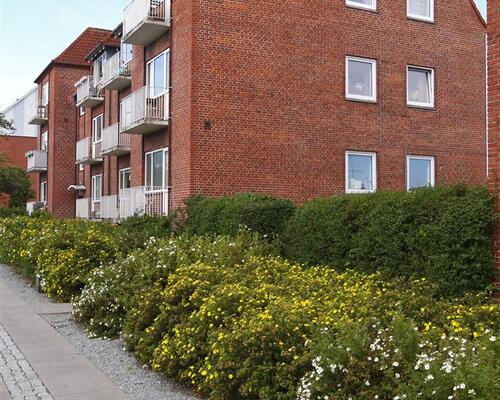 3 værelses lejlighed i Odense V