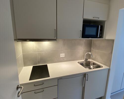 Dejlig lejlighed for den studerende