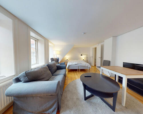 1 værelses lejlighed i København K