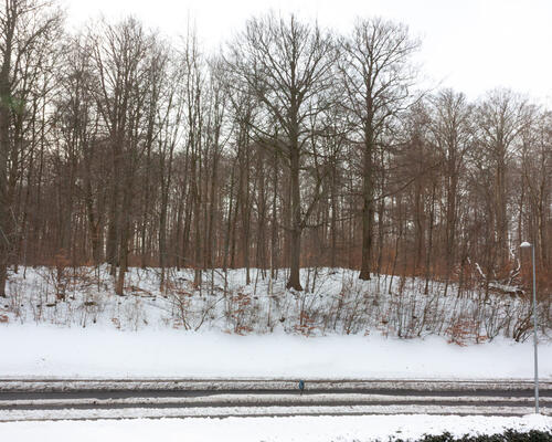 2 værelses hus i Rungsted Kyst