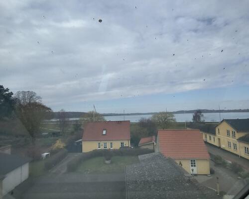 Flot stor 2V'er på Vestergade