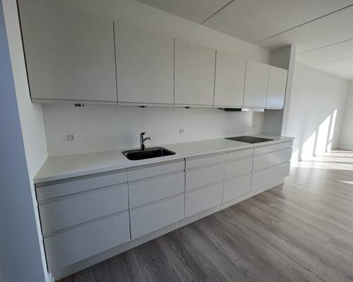 Moderne og velindrettet 2-plans rækkehus i attraktive Kildebjerg Ry