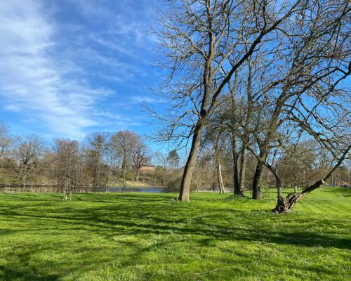 5 værelses hus i Hørsholm