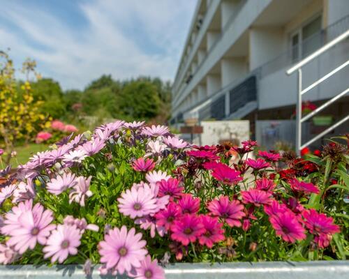 2 værelses lejlighed i Viborg