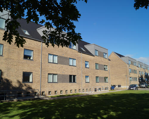4 værelses hus i Skjern