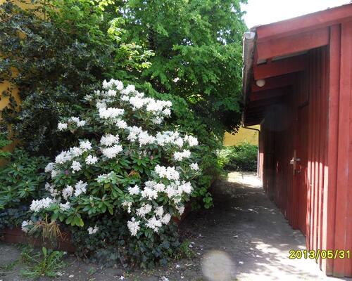 3 værelses lejlighed i Hobro