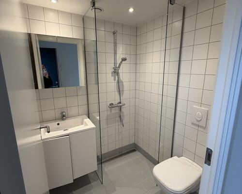 1 værelses lejlighed i København S