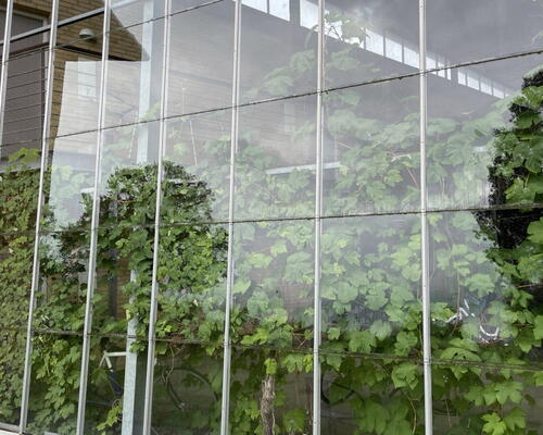 Lækker 2-værelses ved SDU omgivet af skøn natur! - KUN 1 MÅNEDS DEPOSITUM