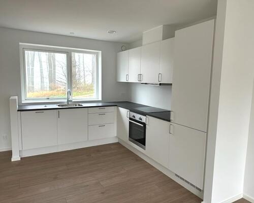 4 værelses hus i Ringe