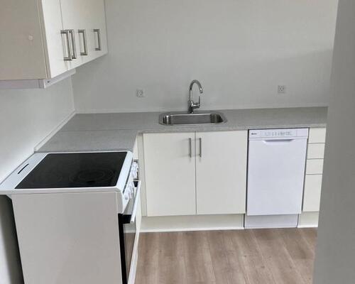 Nyrenoverede rækkehuse m/ lille have