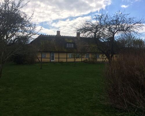 Vandudsigt til fugleparadis
