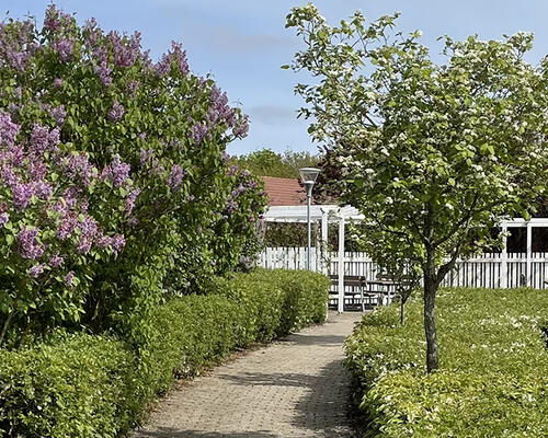 1 værelses lejlighed i Esbjerg V