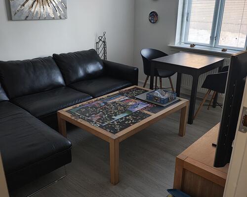 Regulær 2. værelses lejlighed med god placering