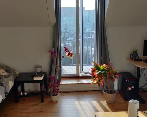 Hyggeligt værelse med egen altan udlejes!