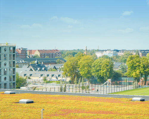 Bo til leje i den fede del af Østerbro