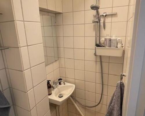 Fin 1-værelses lejlighed
