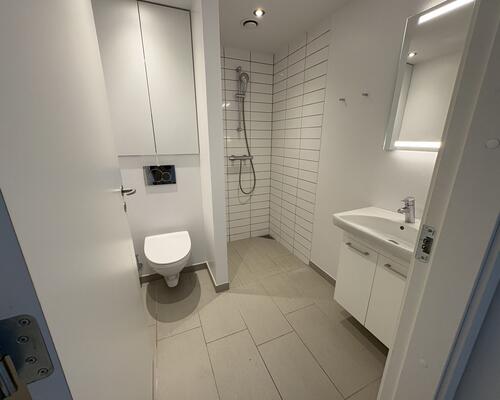 1 værelses lejlighed i Århus C